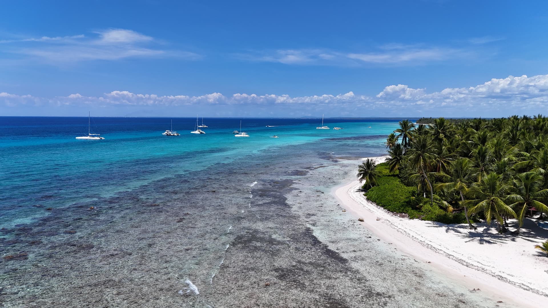 Abanico Beach • March 2025